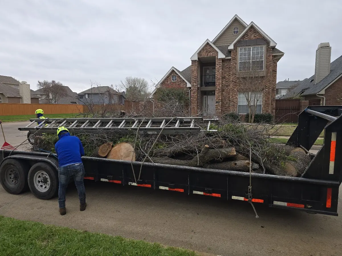 Expert Tree Removal with proper safety equipment in Refugio
